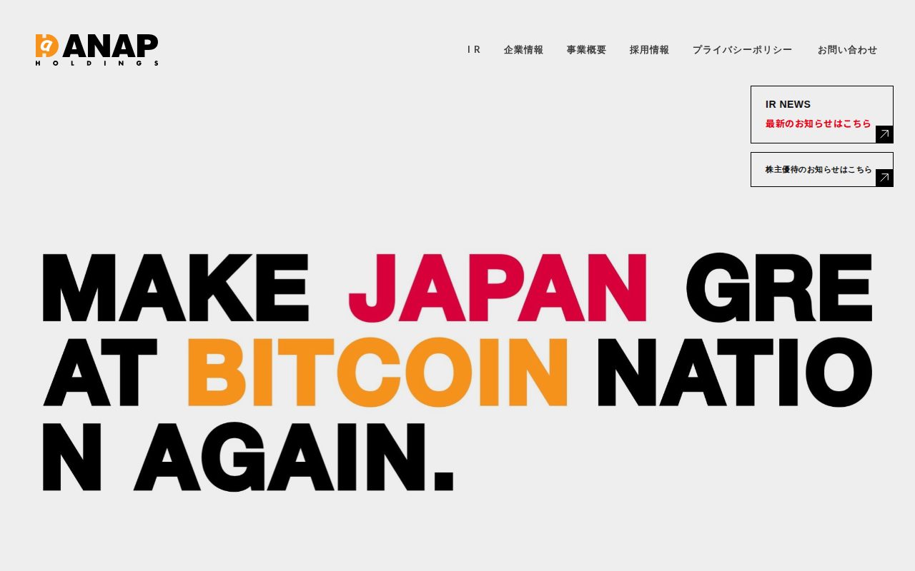 ANAPホールディングス公式サイト